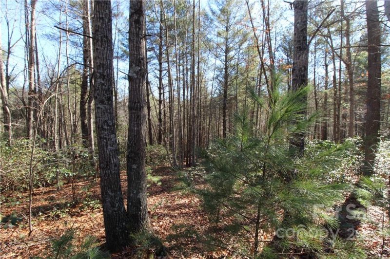 Property image 3 at V L Heartwood Forest Drive, Collettsville, NC 28611