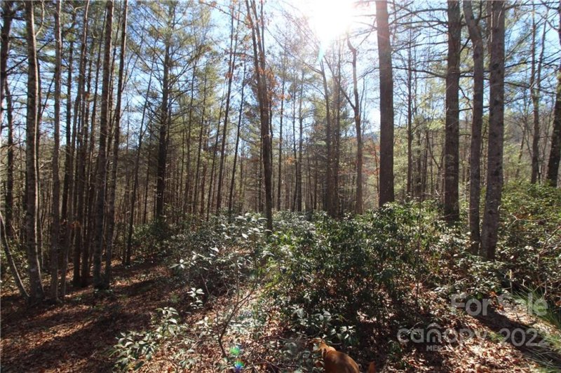Property image 4 at V L Heartwood Forest Drive, Collettsville, NC 28611