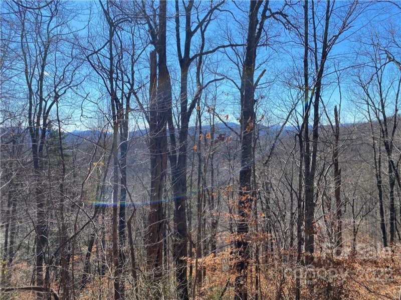 Property image 2 at Lot 59 Mountain Crest Drive, Marion, NC 28752