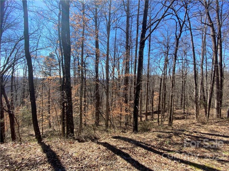 Property image 3 at Lot 59 Mountain Crest Drive, Marion, NC 28752