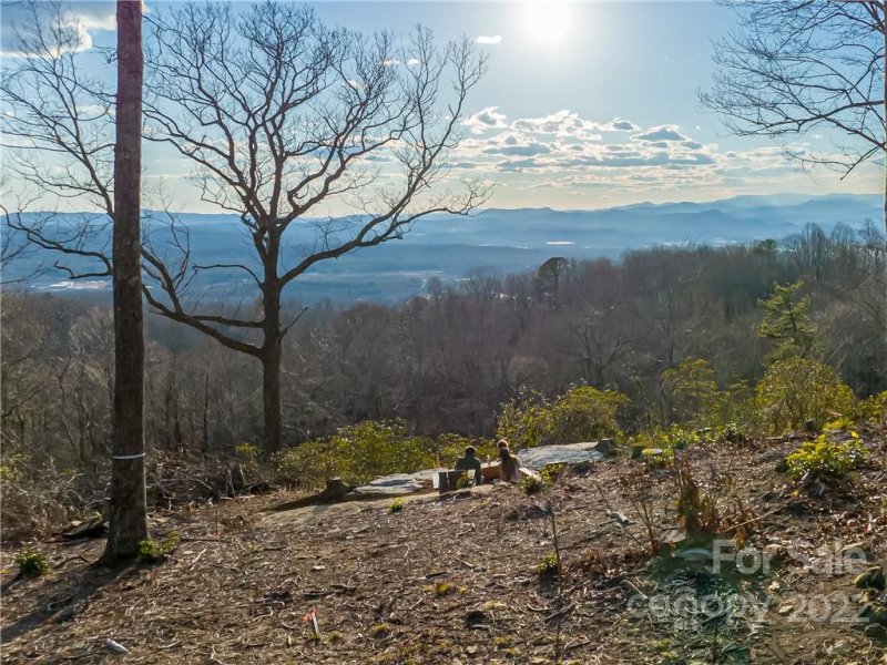 Property image 2 at 99999 Mountain Grove Lane, Fletcher, NC 28732