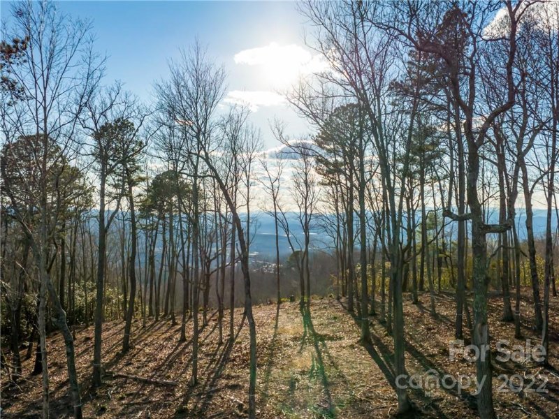 Property image 3 at 99999 Mountain Grove Lane, Fletcher, NC 28732