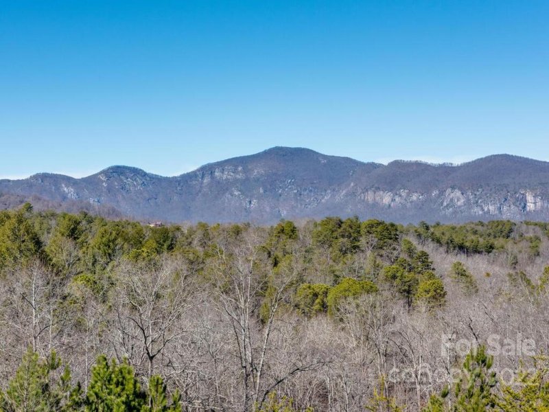 Property image 4 at 206 Legend Drive, Mill Spring, NC 28756