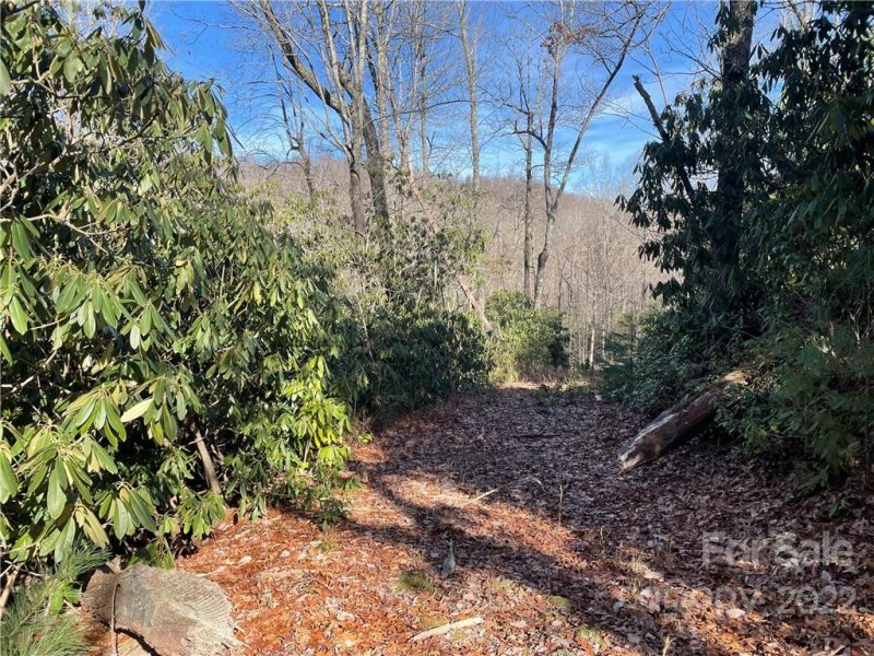 Property image 2 at 0000 Laurel Thicket Lane, Brevard, NC 28712