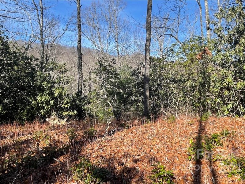 Property image 3 at 0000 Laurel Thicket Lane, Brevard, NC 28712