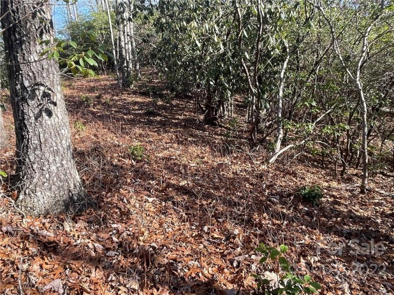 Property image 5 at 0000 Laurel Thicket Lane, Brevard, NC 28712