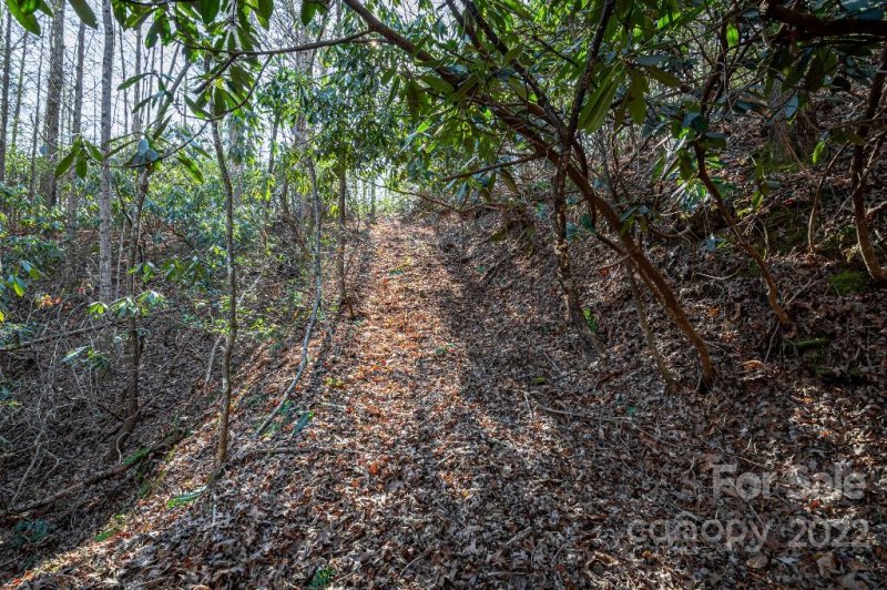 Property image 5 at Lot 2 Highland View Lane, Mill Spring, NC 28756