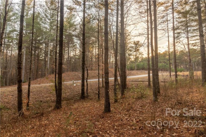 Property image 3 at 3175 Peninsula Pointe Drive, Valdese, NC 28690