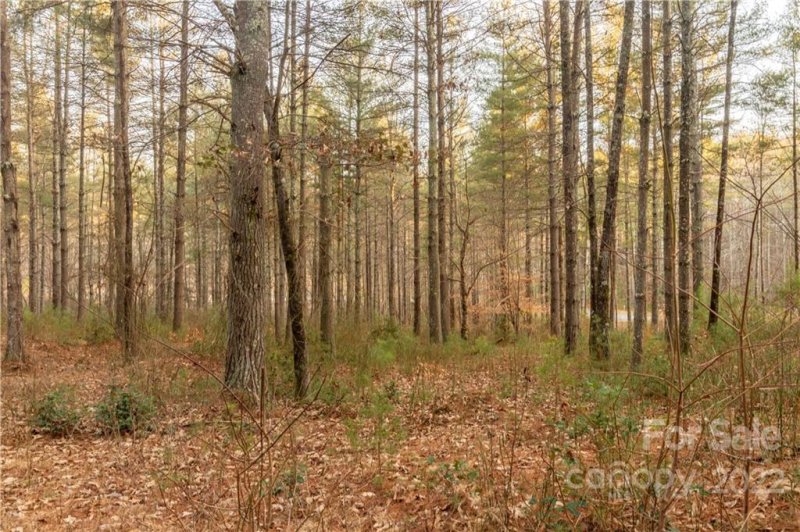 Property image 5 at 3175 Peninsula Pointe Drive, Valdese, NC 28690