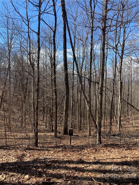 Property image 2 at 000 Alderfly Court, Spruce Pine, NC 28777