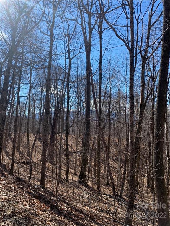 Property image 3 at 000 Alderfly Court, Spruce Pine, NC 28777