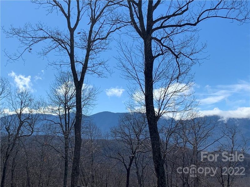 Property image 4 at 000 Alderfly Court, Spruce Pine, NC 28777