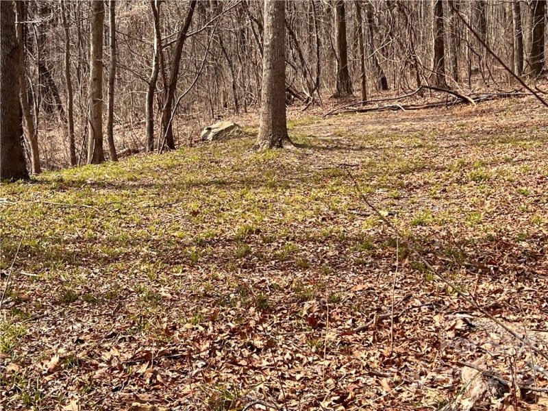 Property image 3 at 9999 Skyuka Mountain Road, Columbus, NC 28722