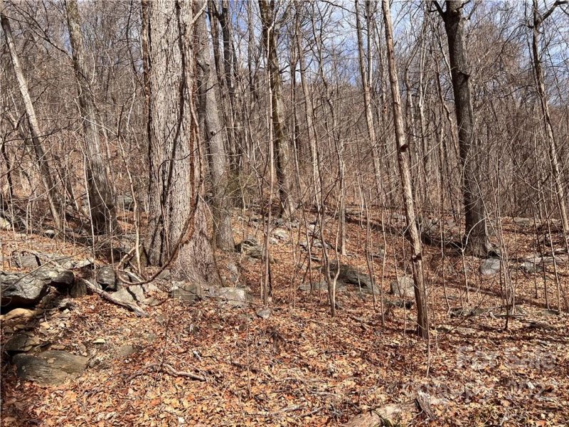 Property image 4 at 9999 Skyuka Mountain Road, Columbus, NC 28722