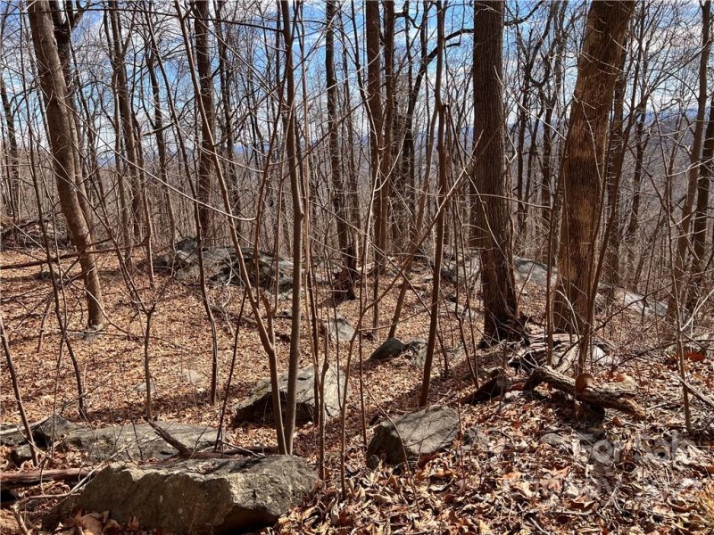 Property image 5 at 9999 Skyuka Mountain Road, Columbus, NC 28722