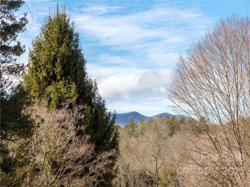 Property image 4 at 124 Cypress Point, Hendersonville, NC 28739