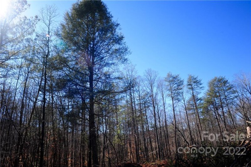 Property image 2 at 99999 Haven Ridge Lane, Marion, NC 28752