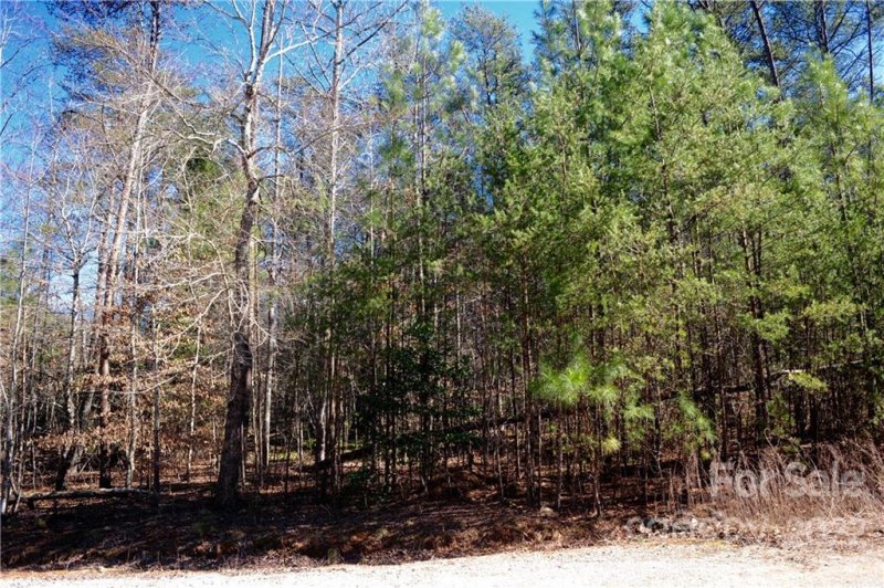 Property image 4 at 99999 Haven Ridge Lane, Marion, NC 28752