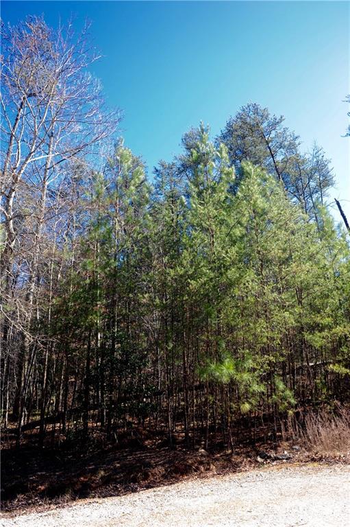 Property image 5 at 99999 Haven Ridge Lane, Marion, NC 28752