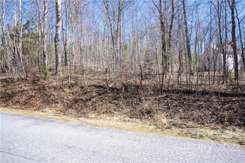 Property image 5 at 0000 Peregrine Drive, Hendersonville, NC 28739