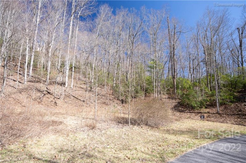 Property image 3 at 0000 Rambling Trail, Hendersonville, NC 28739