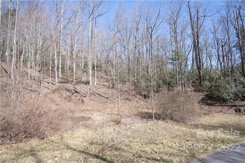 Property image 4 at 0000 Rambling Trail, Hendersonville, NC 28739