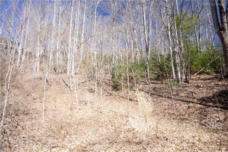 Property image 5 at 0000 Rambling Trail, Hendersonville, NC 28739