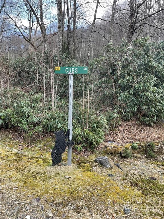 Property image 3 at 000 Cubs Drive, Burnsville, NC 28714