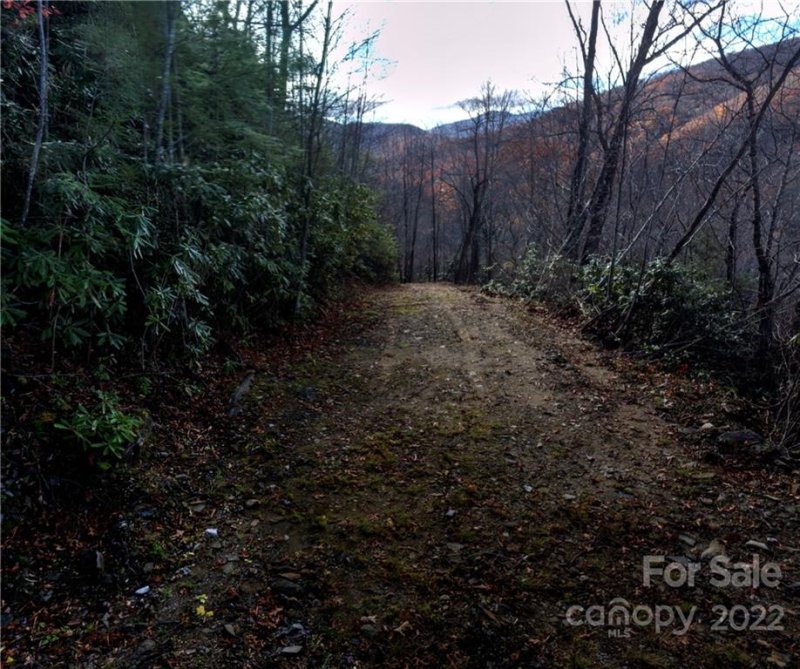 Property image 5 at 000 Cubs Drive, Burnsville, NC 28714