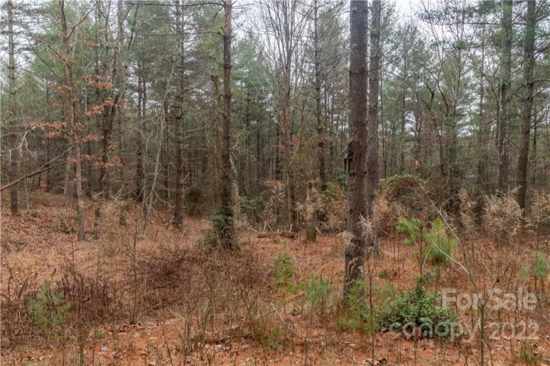 Property image 5 at 2376 Waterside Boulevard, Valdese, NC 28690