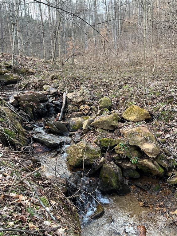 Property image 3 at 9 Talking Rock Lane, Leicester, NC 28748