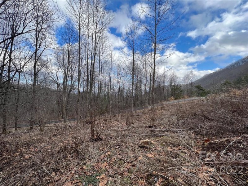 Property image 2 at 163 View Ridge Parkway, Leicester, NC 28748