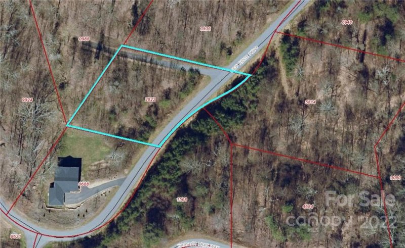 Property image 3 at 163 View Ridge Parkway, Leicester, NC 28748