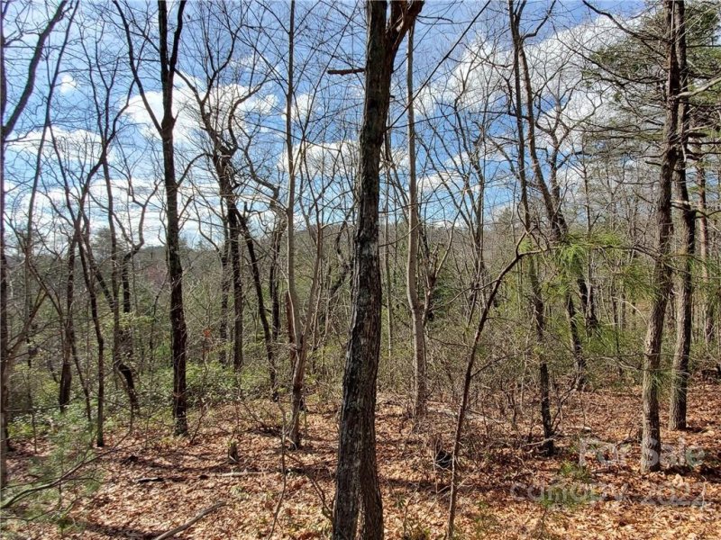 Property image 2 at Lot 86 Volley Way, Saluda, NC 28773