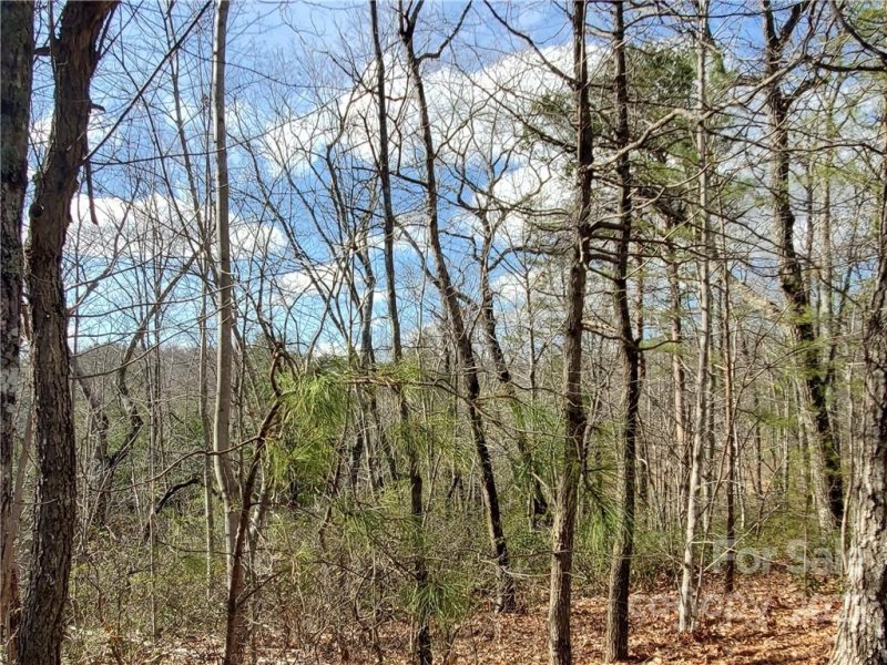 Property image 3 at Lot 86 Volley Way, Saluda, NC 28773