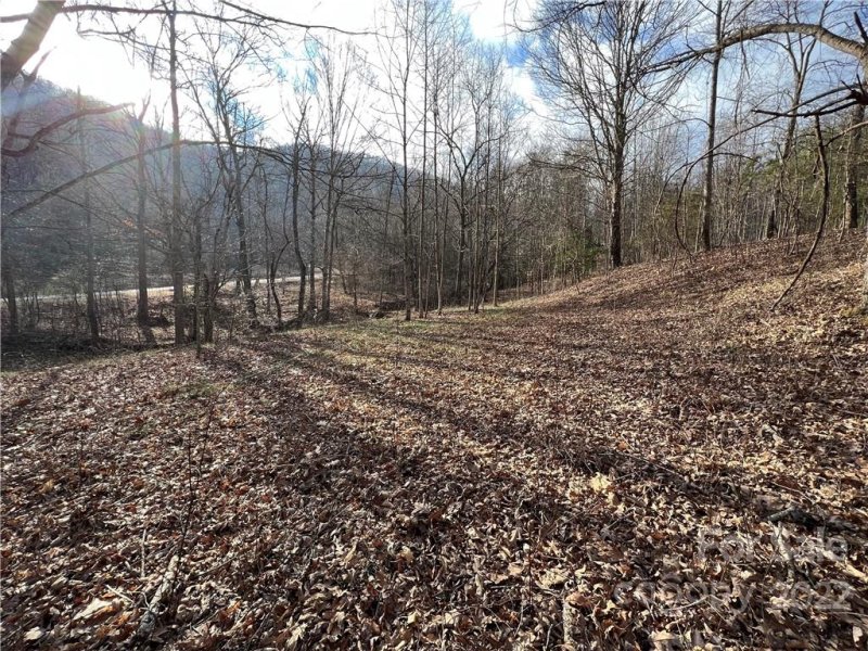 Property image 2 at 99999 Talking Rock Lane, Leicester, NC 28748