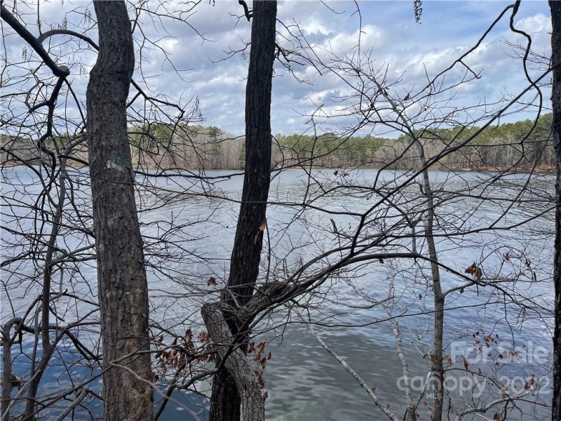 Property image 2 at Lot 114 Bridgeview Court, Norwood, NC 28128