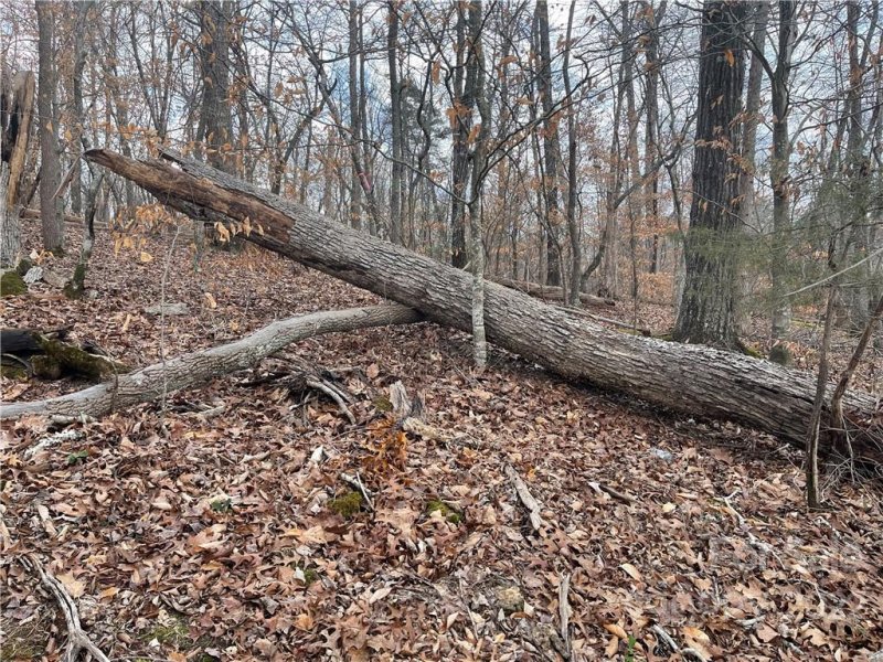 Property image 4 at Lot 114 Bridgeview Court, Norwood, NC 28128