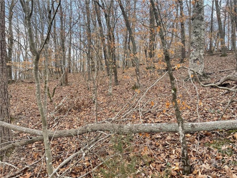 Property image 5 at Lot 114 Bridgeview Court, Norwood, NC 28128