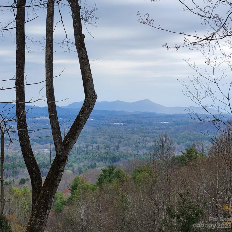 Property image 2 at 9999 Gateway Drive, Hendersonville, NC 28739