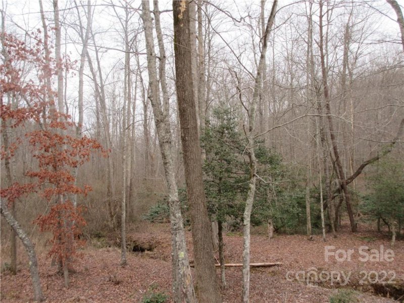 Property image 2 at Lot 67 Big Branch Drive, Marion, NC 28752