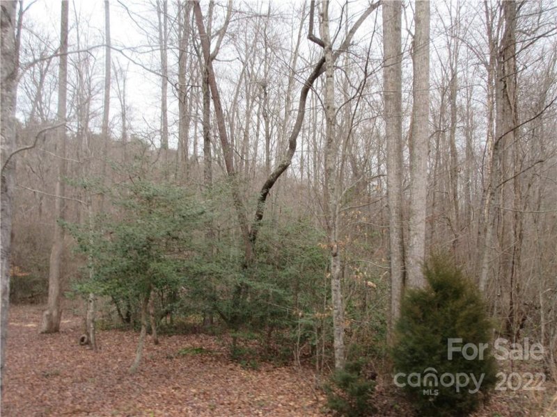 Property image 3 at Lot 67 Big Branch Drive, Marion, NC 28752