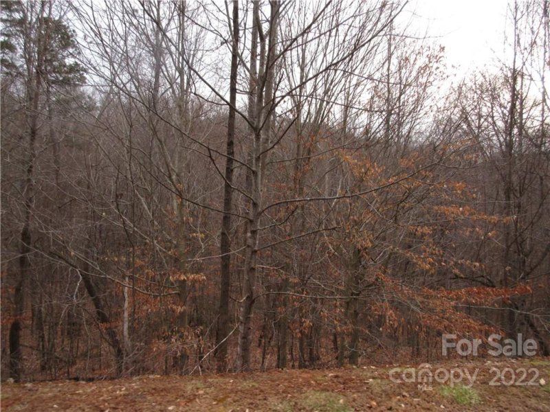 Property image 5 at Lot 67 Big Branch Drive, Marion, NC 28752