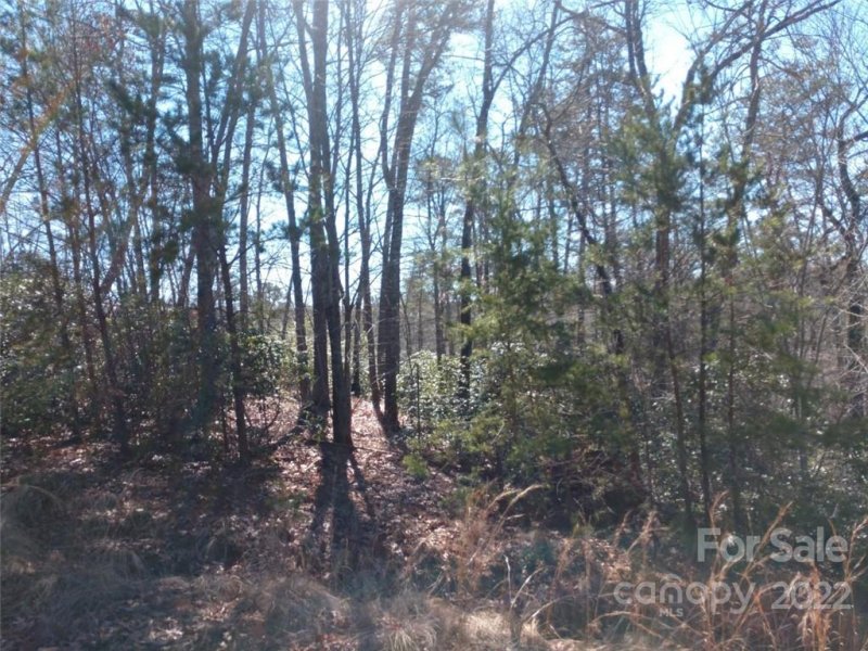 Property image 5 at 00 Bald Eagle Lane, Marion, NC 28752