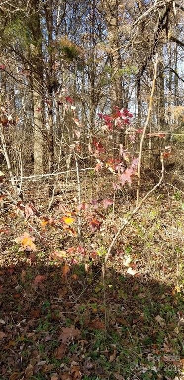 Property image 3 at 13 Blackwood Road, Denver, NC 28037