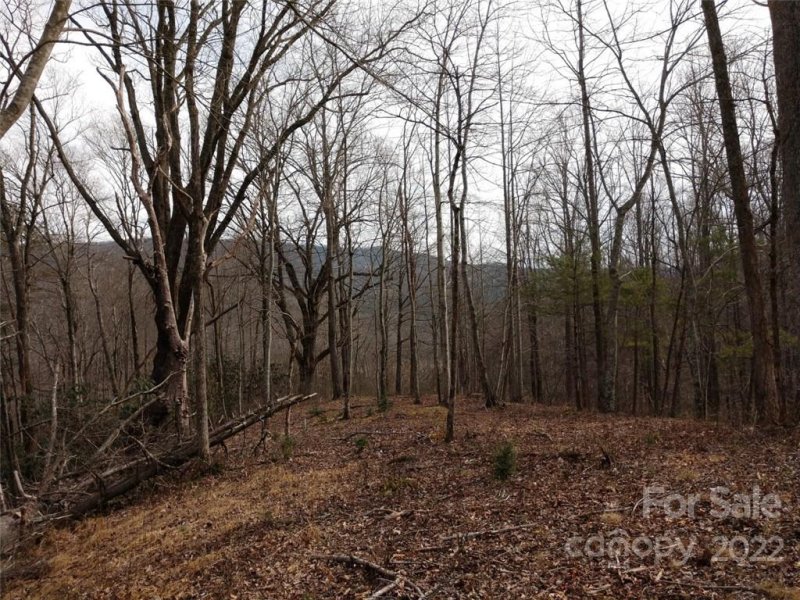 Property image 4 at 00 Hunnicut Mountain Road, Marion, NC 28752