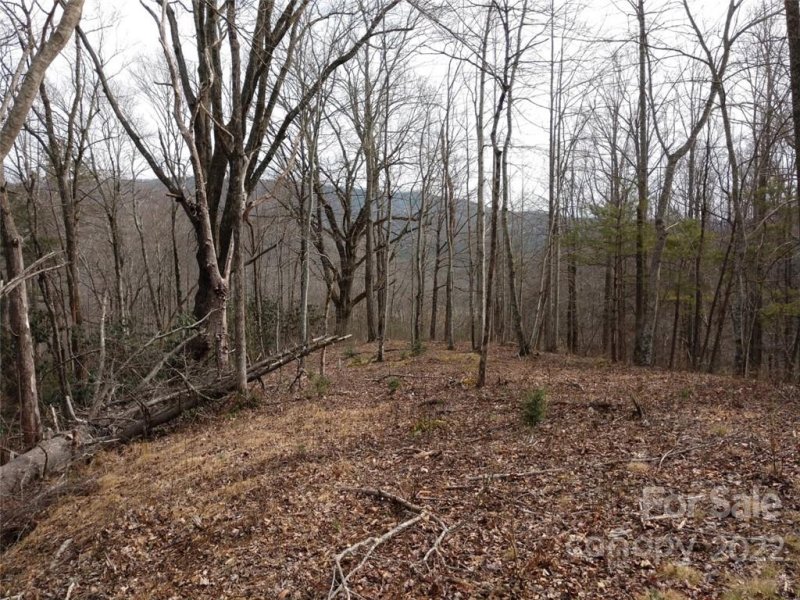 Property image 5 at 00 Hunnicut Mountain Road, Marion, NC 28752