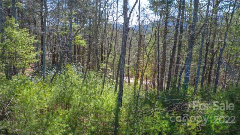 Property image 3 at 99900 Trellem Trail, Hendersonville, NC 28739