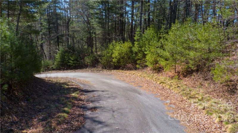 Property image 5 at 99900 Trellem Trail, Hendersonville, NC 28739