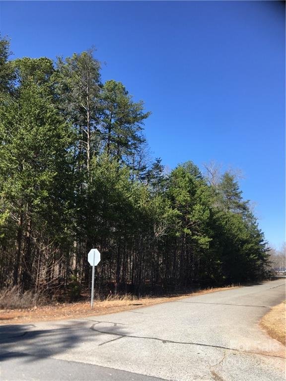 Property image 4 at Lot 41 Arden Gate Drive, Iron Station, NC 28080